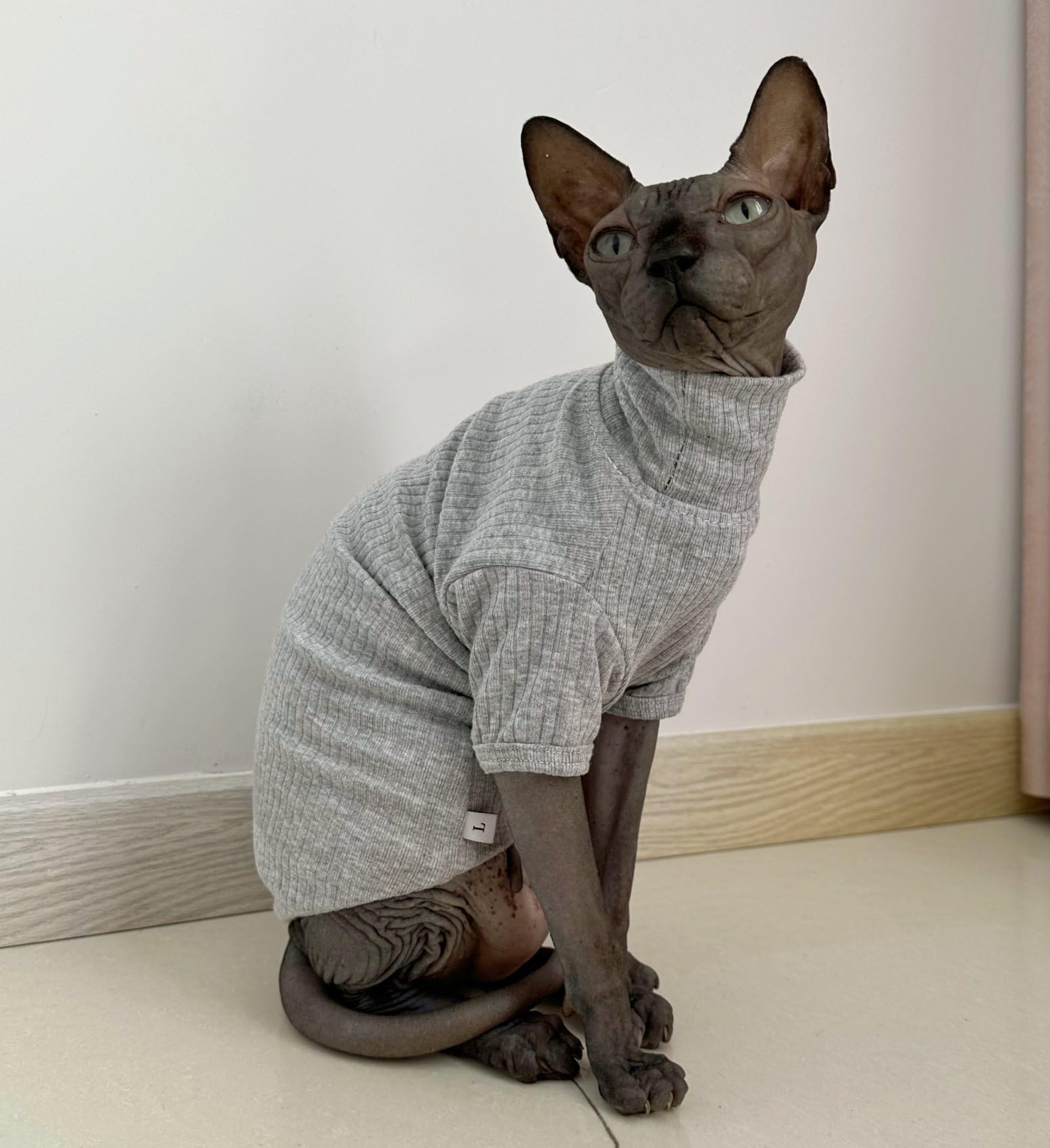 Amazon.com : Sphynx Hairless Cats Shirt Cotton Cat Turtleneck